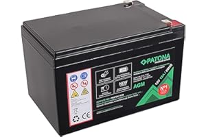 PATONA Premium AGM 12V 12Ah Batterie au plomb VRLA sans entretien 1800 cycles