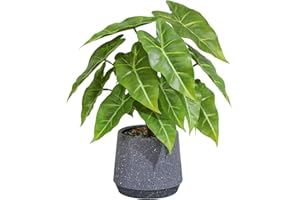 LUWENER Fake Plants Green in Grey Stone Pot,13" tall Faux Potted Plants for Home Office Indoor Artificial Potted Plant for Shelf Table Bathroom Bedroom Decoration (Sea taro leaves)