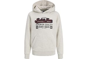 JACK & JONES Jjelogo Sweat Hood 2 Col Aw25 Noos Jnr, Vit melange, 164