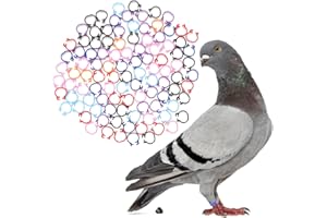 Happyyami 100 Pcs Assorted Color Plastic Pigeon Foot Rings for Poultry Identification Large Size Plastic Foot Bands for Chickens Ducks and Birds