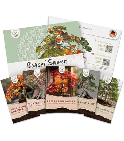 Banana Tree Seeds 100 Pieces Rare Dwarf Banana Tree Seeds Mini Bonsai Seeds  Exotichome Garden Plants : Amazon.de: Garden