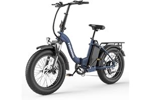 Touroll S2 Bicicleta Eléctrica Plegable, 20'' Neumáticos Anchos, Batería 48V 720Wh, Motor de 250 W y 55 N.M, Ideal para Quienes Viajan por La Ciudad y en La Naturaleza