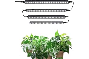 Barrina T5 1FT Grow Lights for Indoor Plants, 5000K White Full Spectrum Plant Lamps, 20W(4 x 5W), Magnetic Black Cover LED Grow Light Strip with Switch, Linkable, Plug and Play, 4 Packs