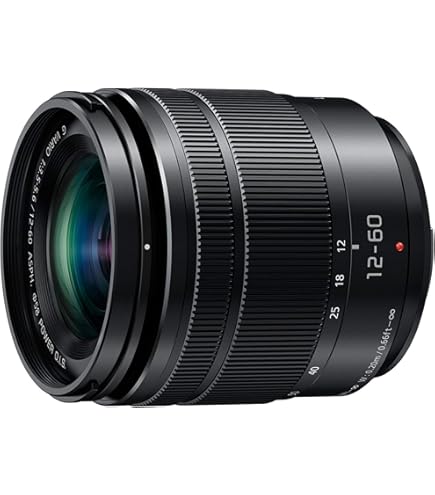 Panasonic LUMIX G X VARIO PZ 45-175mm/F4.0-5.6 ASPH./POWER O.I.S.