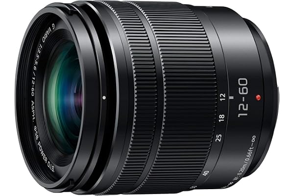 Panasonic H-FS12060E LUMIX G Vario 12-60 mm F3.5-5.6 ASPH. Objectif (Zoom 5X, stabilisateur d'image Power O.I.S, Protection Contre la poussière/Les éclaboussures) Noir (reconditionné)
