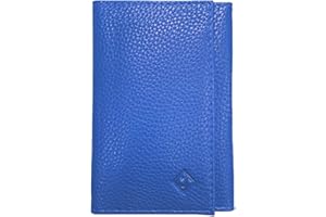 LOLUNA® - Porte Papier Voiture en Cuir Graine Souple - Format 3 Volets Compact - Etui Carte Grise, permis, identité, Assurance, crédit, dans Plusieurs Couleur pour Homme et Femme (Bleu Clair)