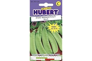GRAINES HUBERT SEMENCES & ENGRAIS MAIROL 50 Graines de Pois mangetout Norli - Format Petit Jardin