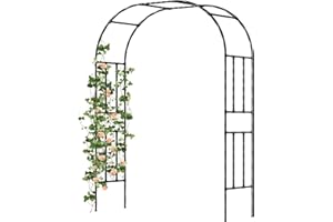 Caroeas Metal Garden Arch with 20mm Thickened Galvanized Steel Tubes, Rust-Resistant rose arch, 150cm Wide x 240cm High, Ideal for Climbing Plants and Outdoor Decoration as Garden Archway or Trellis