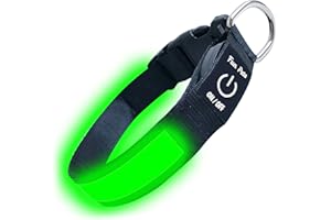 Fun Pets Collare LED per cani Verde - Collare di sicurezza ricaricabile con USB per animali domestici - Grande visibilità e sicurezza - XS, S, M, L e XL