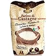 Farina di Castagne 500g - Italia Spezie