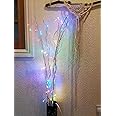 Loxton Lighting 50 LED Multiple Colours Lights Twigs, Wood, 12 W [Energy Class A]