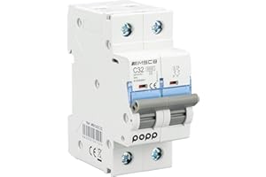 POPP® Interruttore automatico magnetotermico industriale CURVA C 1P 2P 3P + 6A 10A 16A 20A 25A 32A 40A 50A 63A … (2P, 32A)