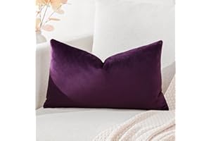 Artscope Luxury Velvet Cushion Covers Super Soft Decorative Throw Pillow Covers Case Lumbar Cushion Cases for Sofa Couch Bedroom Car Decor 30x50cm Eggplant Purple
