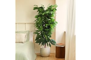 BLAINE | Mango 150cm | Plantas Artificiales Decorativas | Planta Artificial Grande | Plantas Artificiales para Interior/Exterior | Planta Artificial Realista Decorativa para Casa