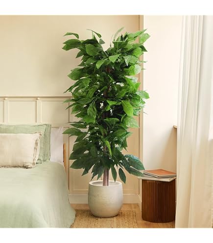 Künstlicher Gummibaum (Ficus Elastica) Groß – Kunstpflanze In Korb, Täuschend Echt, Pflegeleicht, Für Wohnzimmer & Büro