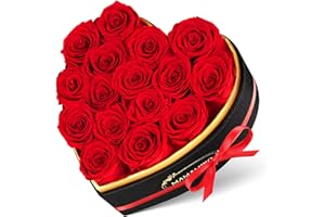 MAMAMIKO 16 Ewige Rosen in Herzform Box - Infinity Rote Rose, Konservierte Echt Blume Rose Geschenk, Valentinstag Jahrestag Geschenk für Sie, Geburtstag Muttertagsgeschenk für Frauen Mama Freundin