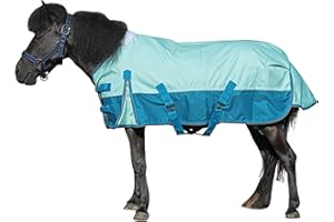 GALLOPOFF Mini Shetland Pony Foal Turnout Rug – Waterproof 1200D Lightweight 0g Rain Sheet for Miniature Horse Donkey and Section A (No Fill) Blue Green 4'0