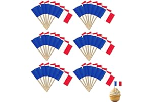 LYRAMIS 100 Pièces Petit Drapeau Francais,Drapau France Cure Dent Mini Drapeaux Français Set Deco Drapaux Tricolore Erapeaux Drapeau Bleu Blanc Rouge Flag Decoration Déco Exterieur (France)