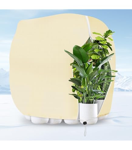 PATWING Voile Hivernage Plante Extérieur 80g/m² - Housse Protection Arbre Hiver Réutilisable (160x180cm)