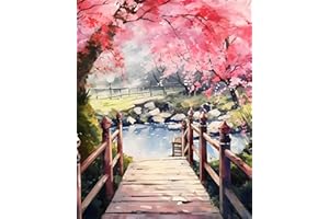 CICISTORY Dipingere Con i Numeri Bambini e Adulti, Painting by Numbers Kit, Colorare Con i Numeri Con Pennelli e Colori Acrilici,Senza Cornice 40X50 cm