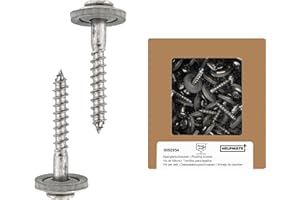 HELPMATE Viti Spengler 4,5 x 25 mm, 50 pezzi, DIN 7995, in acciaio inox A2, PZ2, DIN 7995, testa cilindrica, con disco e EPDM Di, argento, 4,5 x 25 mm