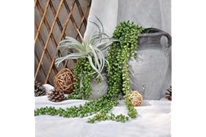 JUSTOYOU Plantas artificiales 30 cm de ancho, verde, toque real, plantas suculentas para jardín interior y exterior, decoración baño