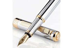 Scriveiner Pluma Estilográfica Plateada con Detalles de Chapado en oro auténtico, Plumilla (Fina) y Convertidor Instalado Schmidt, Dos Cartuchos de Tinta, Azul y Negro