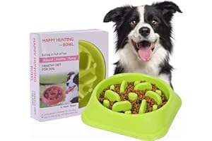 LOW&EE Ciotola Anti Ingozzamento - Ciotole per Cani - Ciotola per Cani Mangiare Lento - Distributore di Cibo Lento Antiscivolo - Slows Food Intake - Realizzata con materiali ecologici 20x4,6cm (verde)