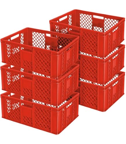 BRB 10 Eurobehälter, LxBxH 600x400x240 mm, lebensmittelecht 1 Transportroller (grau/rot BRB 10 Eurobehälter, LxBxH 600x400x240 mm, lebensmittelecht 1 Transportroller (grau/rot