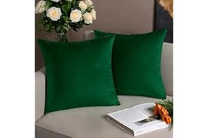 AMFUN Set of 2 Velvet Cushion Covers,Dark Green 40 x 40 cm Luxury Velvet Square Throw Pillow Cases, Decorative Throw Pillowcases with Invisible Zipper, for Livingroom Sofa Bedroom
