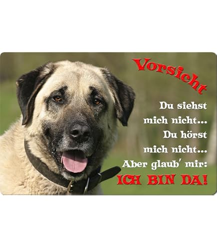 Nanyuk Metall-Warnschild „Cocker Spaniel“ – 30,5x20 Cm Aluminium-Schild, Mit Befestigungslöchern Auf Wunsch