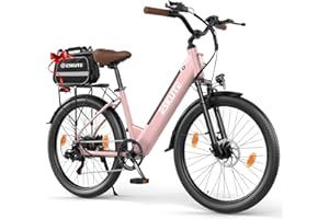 ‎ESKUTE ESKUTE C100 Plus E-Bike, 26 Zoll Elektrofahrrad, E-Cityrad 250W HeckMotor, 36V 13Ah Wechselakku, bis zu 100km, LCD-Display, Tiefeinsteiger E-CityBike Für Damen und Herren Erwachsene