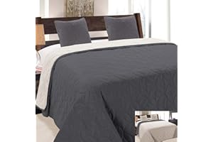 Euromat Tagesdecke Steppdecke Bettüberwurf Gesteppte Zweiseitig Tagesdecke mit 2 Kissenbezüge 40x40 cm- (Grau Graphit Silber- 06, 180x220 cm)