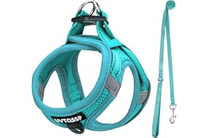 UVTQSSP Hundegeschirr Kleine Hunde mit Leine Gepolstert, Welpengeschirr, Dog Harness Hunde Geschirr Klein, Hellblau M