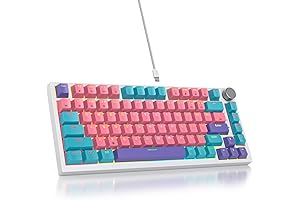 82 Pink/Red Switch