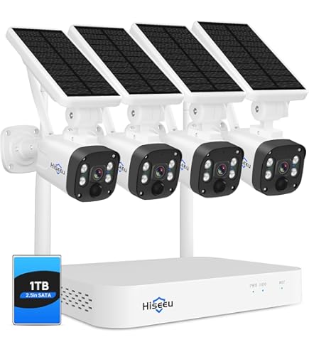ANNKE Kit Sicurezza WiFi Esterno Con Pannello Solare - 4 Telecamere 4MP, Visione Notturna A Colori, Rilevamento Movimento - Foto 5