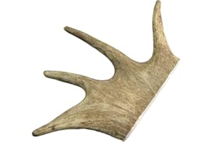 ARTISAN GIFT CO Damhirschgeweih Kauknochen für Welpen und Große Hunde - Mindestgewicht 150 Gramm (L, L - 1 st)