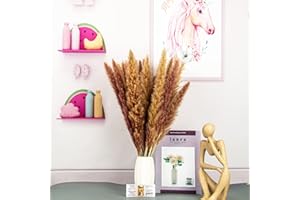 KUNSTIFY Trawa pampasowa XXL, 100 cm, naturalne suszone kwiaty (5 x naturalne XXL pampasowe)