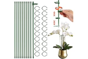 LEEWENYAN Lot de 10 piquets de support pour plantes de jardin avec clips en fibre de verre verte de 40 cm avec anneaux pour plantes d'intérieur et d'extérieur, fleurs, tomates, plantes en pot (40 cm)