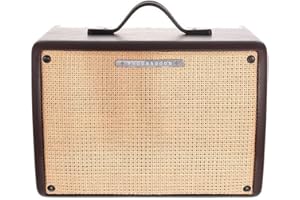 Ibanez T30II-U Troubadour amplificateur Combo pour Guitare Acoustique, 30W
