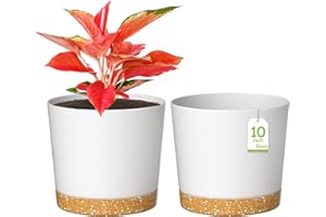 ZMTECH 25cm Plant Pots, Modern Planters with Drainage Holes and Detachable Saucer, Plastic Flower Pots for Plants for House Garden Windowsill (Set of 2, White)