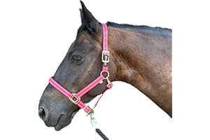 PFERDELINIS Licol pour chevaux avec paillettes en or rose - Licol cheval noir et rose - 2 positions de réglage (rose or rose, demi-sang)