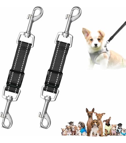 thumbnail interactive-video image 1 of Regatta Comfort Dog Collar With Safety Clip - Adjustable Pet Clip For Small, Medium, Large Dogs 1 of 3