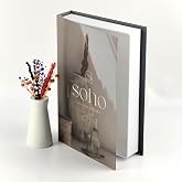 Bak Gel Al Kitap G&ouml;r&uuml;n&uuml;ml&uuml; Dekoratif Kutu, Iskandinav Tarzı Kitap Şeklinde Saklama Kutusu, Ev Dekorasyonu, Modern Ev Dekorasy