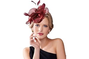 Dodheah Fascinator Cappello Donna Cappelli Cerimonia Piuma Velo Vintage Fascinators Fascia Copricapi Sposa Clip per Matrimonio Eventi Cocktail Ascot