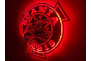 Scania LED-skylt 50 x 50 cm – tillbehör med justerbar ljuseffekt – greppvänlig LED-väggskylt