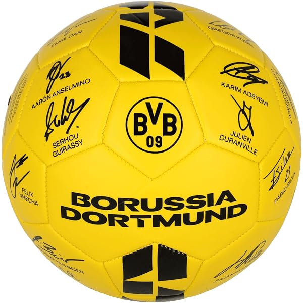Borussia Dortmund portafoglio Edizione ufficiale - Jaimie Jacobs