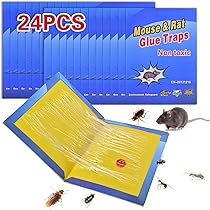 Piège à Souris - Piège Collant Efficace - Attrape Souris