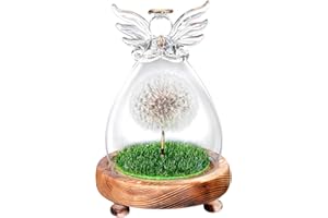 ‎LOZACHE Geburtstagsgeschenk für Frauen, Wunscherfüller, Echte Pusteblume im Glas Engel Figuren, Geburtstag Valentinstag Hochzeit Muttertag Weihnachten Geschenke Idee für Mama Freundin Schwester Oma Frau