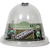 Haxnicks Bell050101 3 Stück Original viktorianische Glocken, APET, durchsichtig, 34 x 26 cm